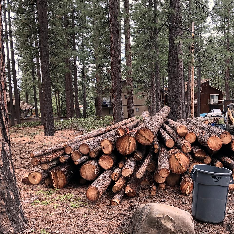 Felled pine logs stacked among cabins, with a chipper and a tracked loader